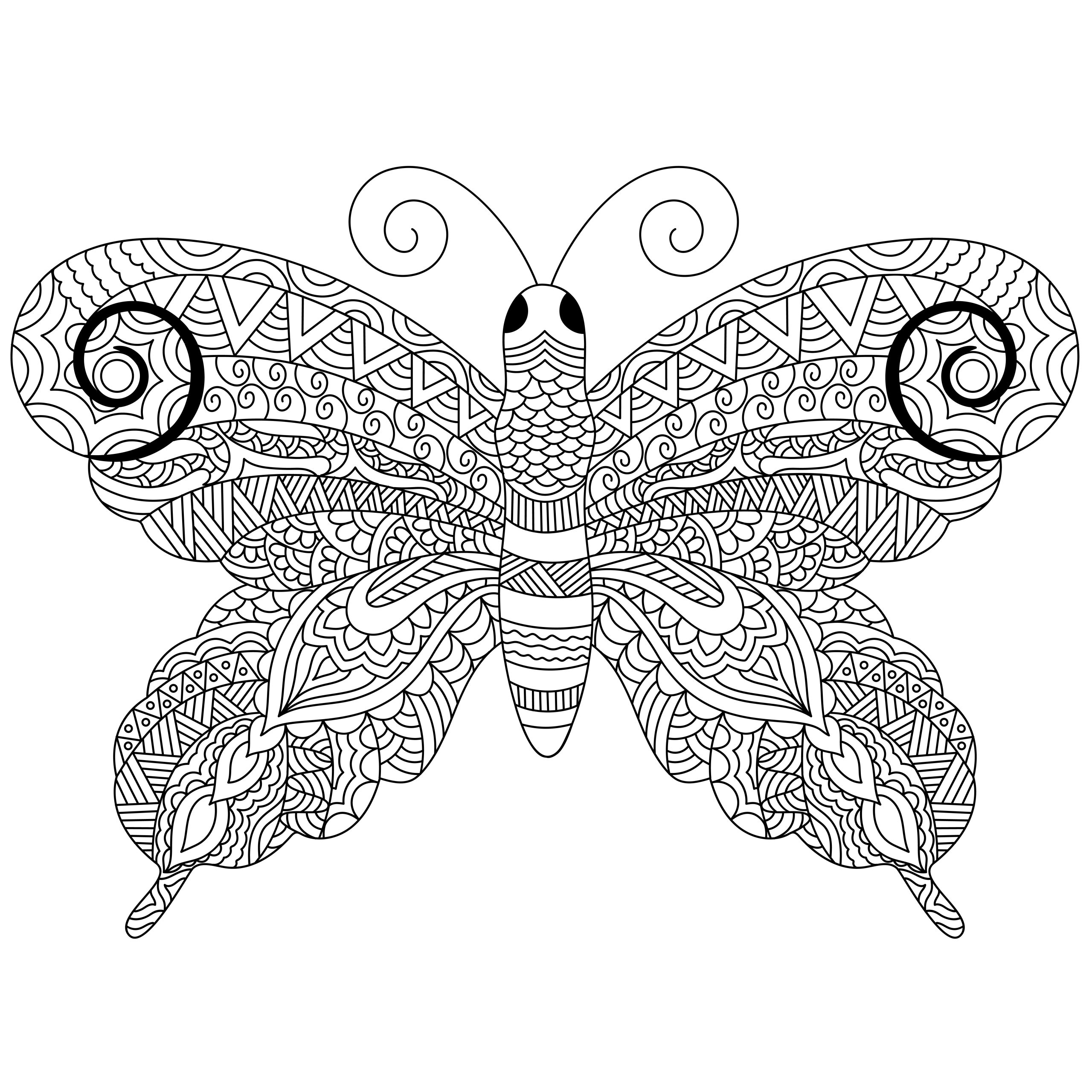 Butterfly Garden Mandala