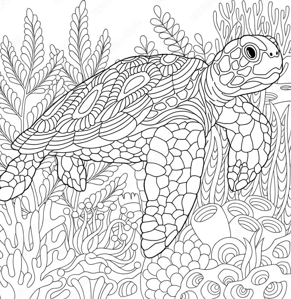 Underwater Coral Mandala